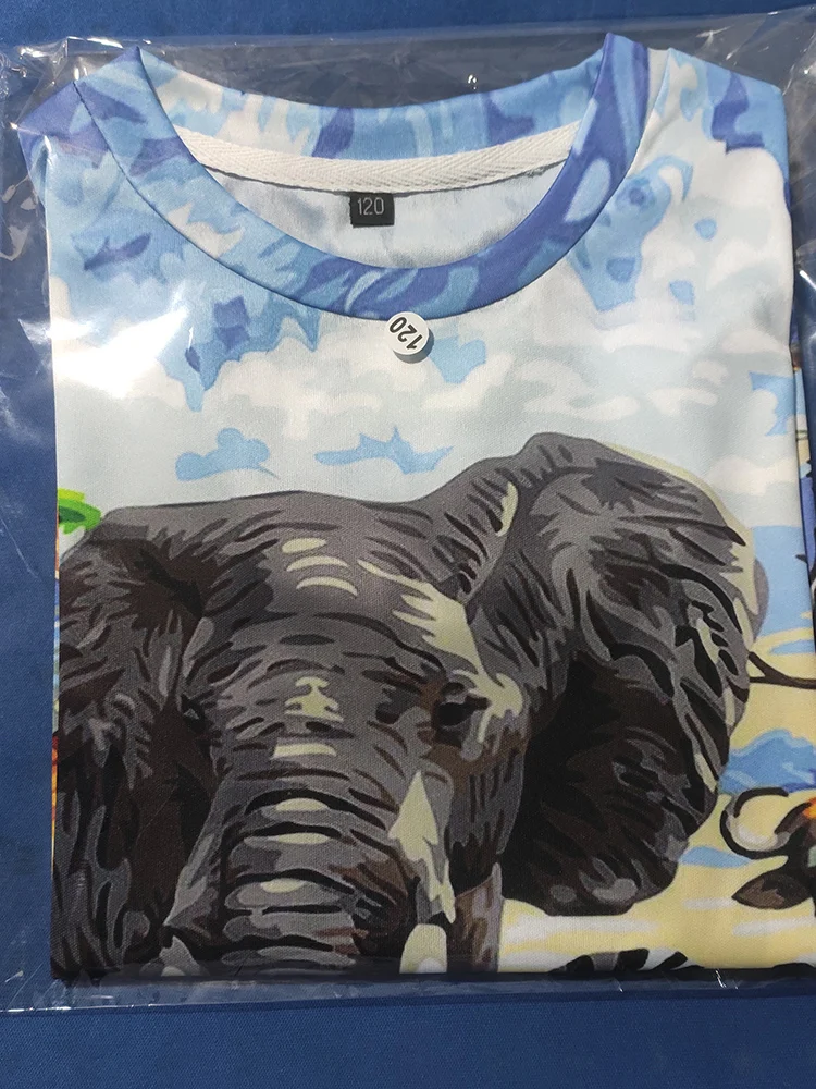 Kids' Dinosaur Print T-Shirt