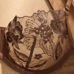 Lace Bra — Image 2